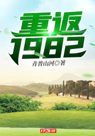 重返1982封面